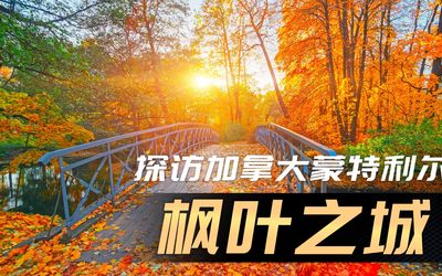 枫叶之城：探访加拿大蒙特利尔蒙特利尔