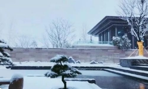 庭院干货 · 庭院水景冬季防护