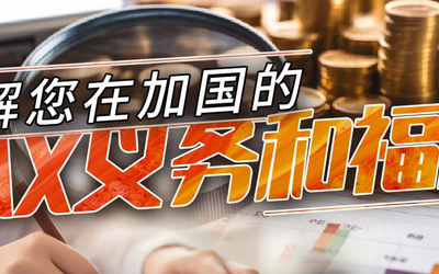 了解您在加国的税务义务和福利