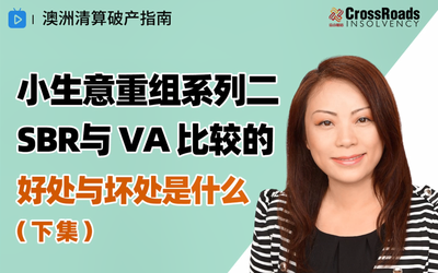 小生意重组（SBR）与（ VA） 比较的好处与坏处是什么（下集）
