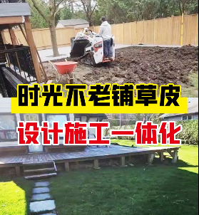 时光不老铺草皮，设计施工一体化