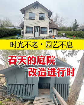 时光不老，园艺不息，春天的庭院改造进行时！