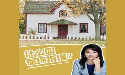 什么叫循环拆借？