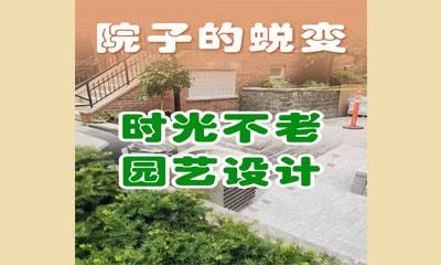 院子的蜕变：时光不老园艺设计