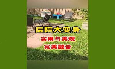 后院大变身：实用与美观的完美融合