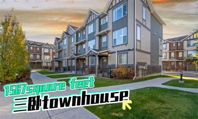 1567平方尺三卧超大联排