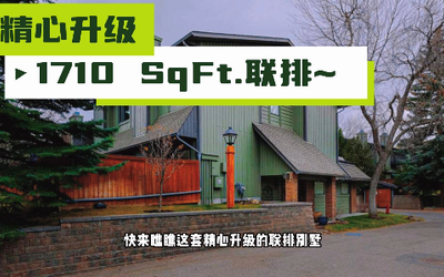 精心升级1710联排