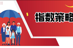 指數策略