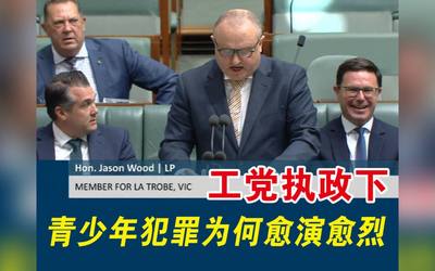 工党执政下，青少年犯罪为何愈演愈烈？