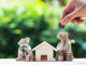 在美国买房，如何根据自身条件选择贷款方案？