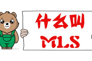 什么叫MLS？