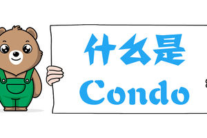 什么是Condo？