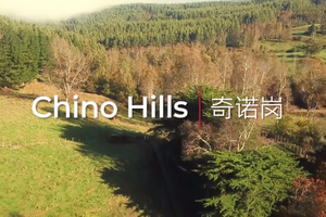 住进城里，何须远离径山——美国洛杉矶Chino Hills·你的北美长征梦