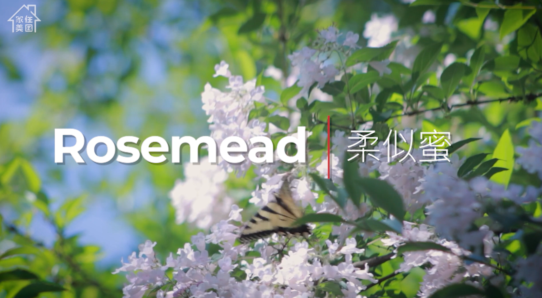 美式中餐代表企業(yè)的大本營——美國加州Rosemead·你的北美長征夢