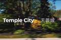 天普市（Temple City）：华裔青睐的中产阶级城市
