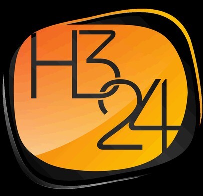 H324