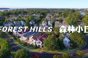 家住美国：森林小丘（Forest Hills）