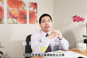 保險怎么分類