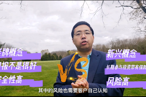 保險置換與其他對比