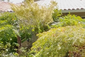 房源介紹：Address 37 Gresham price reduced to $3.988m