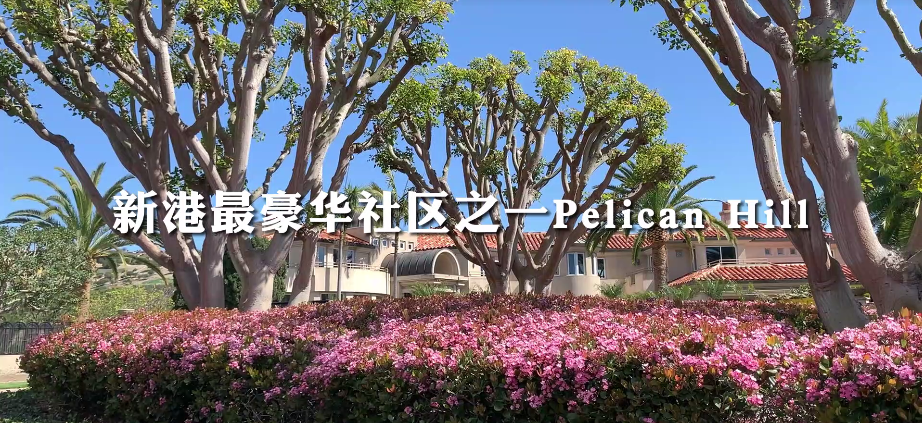 新港最豪华社区之一Pelican Hill