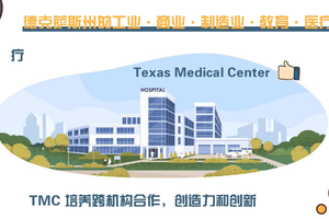 德克薩斯州的醫療