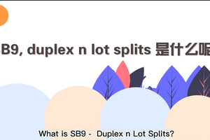 SB9, duplex n lot splits 是什么呢？