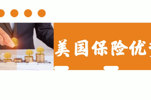 美國保險的優勢