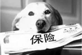 硬核知识来了！美国买保险你该知道的事！