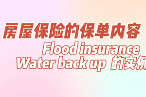 房屋保險的保單內容 Flood insurance  Water back up  的實例