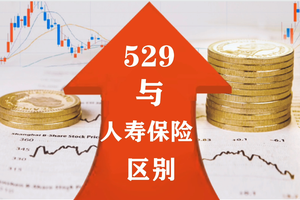 529與人壽保險的區(qū)別