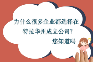 為什么很多企業(yè)都選擇在特拉華州成立公司？您知道嗎？
