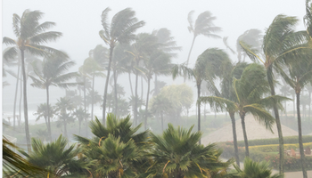 飓风季来临，佛州68200份房屋保险被取消！