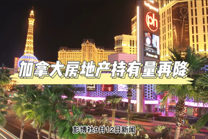 加拿大房地產持有量再降