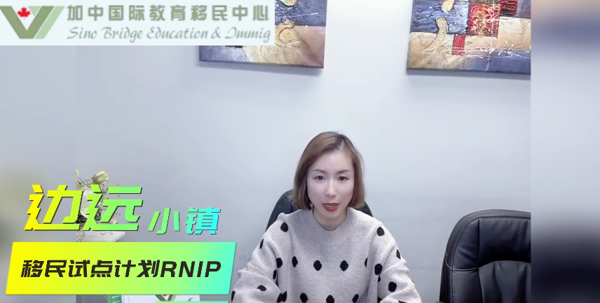 边远小镇移民试点计划RNIP（二）