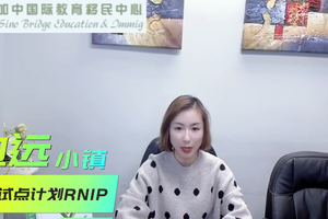 邊遠小鎮移民試點計劃RNIP（二）