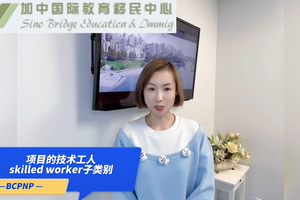 跟國際留學(xué)生有關(guān)的2個(gè)子項(xiàng)目