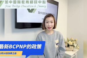11月16日改革后的最新BCPNP的政策