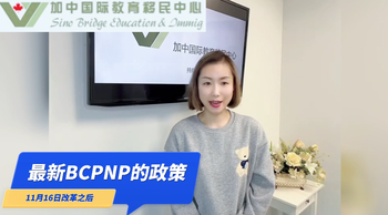 11月16日改革后的最新BCPNP的政策