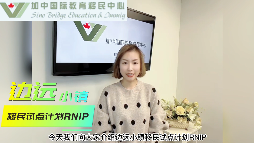 边远小镇移民试点计划RNIP（一）