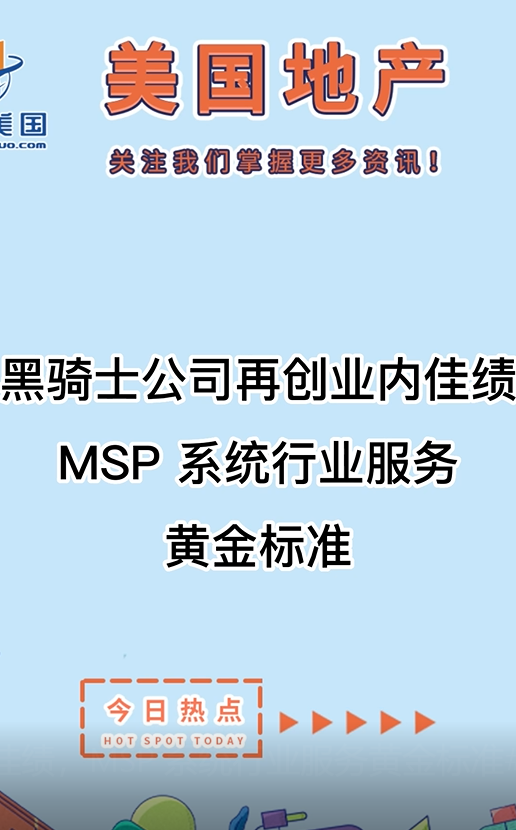 黑骑士公司再创业内佳绩，MSP 系统行业服务黄金标准