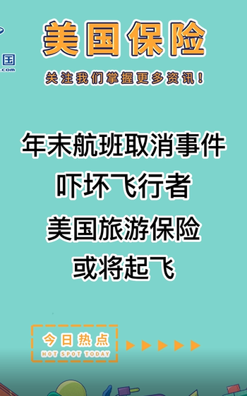 年末航班取消事件吓坏飞行者， 美国旅游保险或将起飞