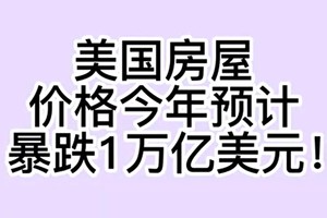 美国房屋价格今年预计暴跌1万亿美元！