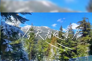 今天带大家看风景房#房产#好房推荐