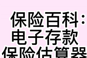 保险百科： 电子存款保险估算器