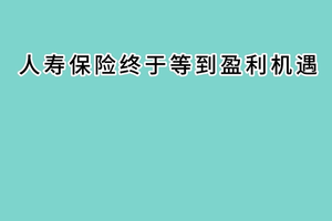 抓紧机会：人寿保险终于等到盈利机遇