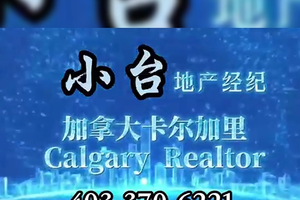 教育和投资两不误