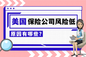 美國保險公司風險低的原因有哪些