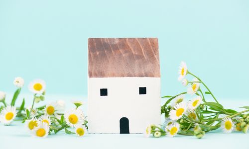 小額抵押貸款空缺，購房者轉(zhuǎn)向高風(fēng)險替代品