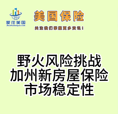 野火风险挑战加州新房屋保险市场稳定性